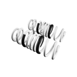 Leyo Motorsport opruge za spuštanje za VW Golf 7/7.5 R (4Motion)